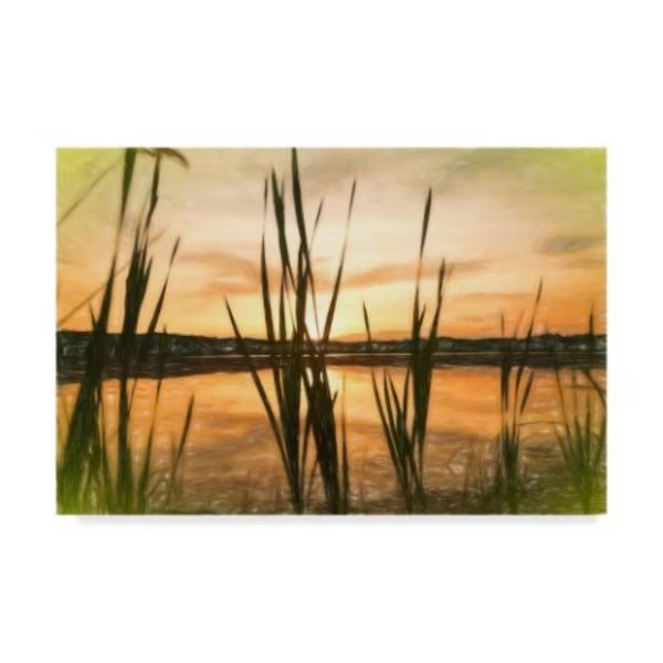 Anthony Paladino 'Giant Reeds Colorful Sunset In Crayon' Canvas Art, 30x47, Trademark Fine Art, Mfr#: ALI24769-C3047GG